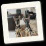 CC Casey & Chloe 009.jpg